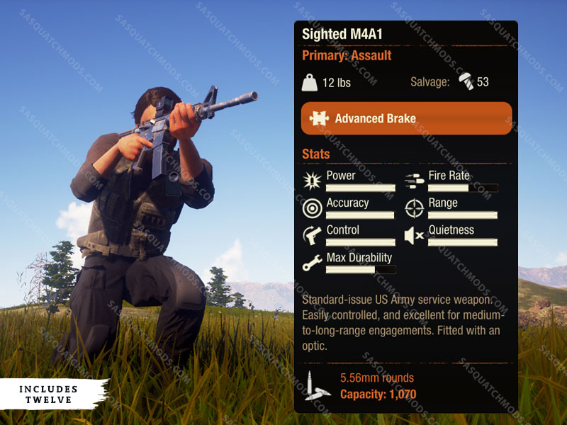 state of decay 2 sighted M4A1