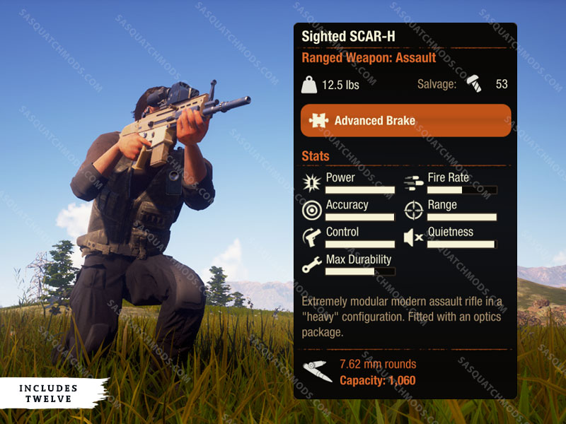 state of decay 2 sighted scar-h