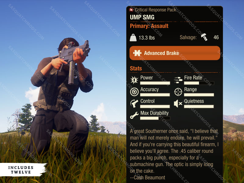 state of decay 2 ump smg