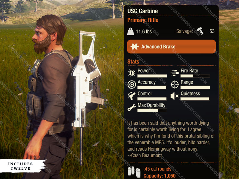 state of decay 2 USC Carbine