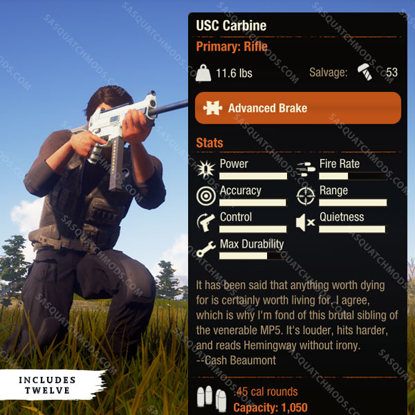 state of decay 2 usc carbine