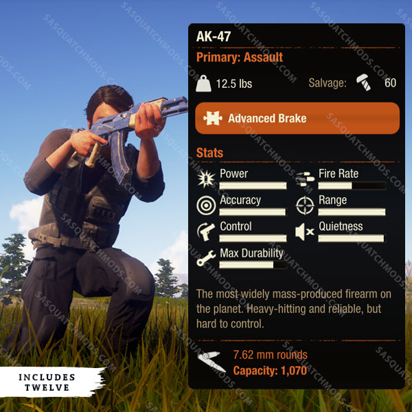 state of decay 2 ak-47