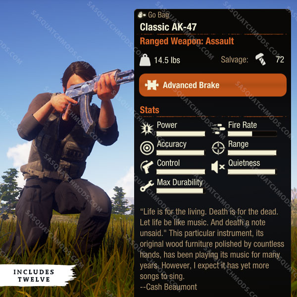 state of decay 2 classic ak-47