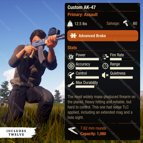 state of decay 2 custom ak-47