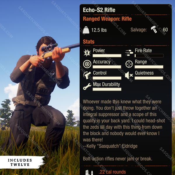 state of decay 2 echo-s2 rifle