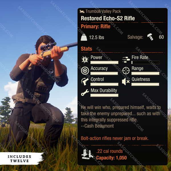 state of decay 2 restored echo-s2 rifle