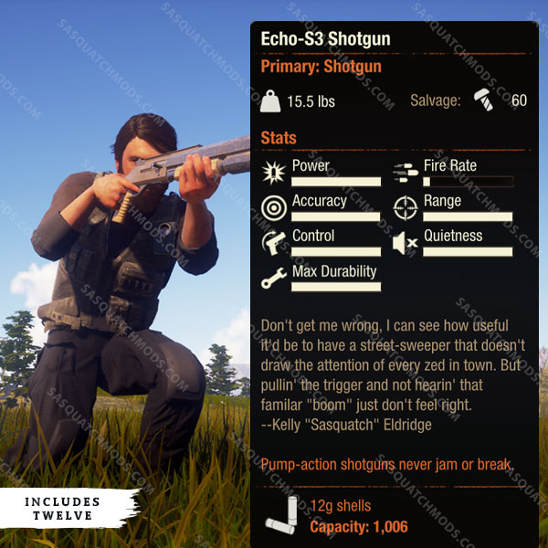 state of decay 2 echo-s3 shotgun