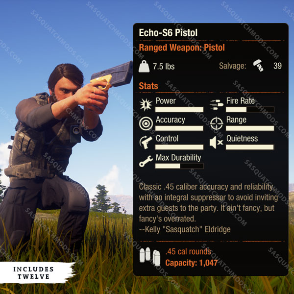 state of decay 2 echo-s6 pistol