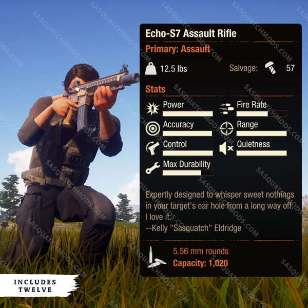 state of decay 2 echo-s7 assault rifle