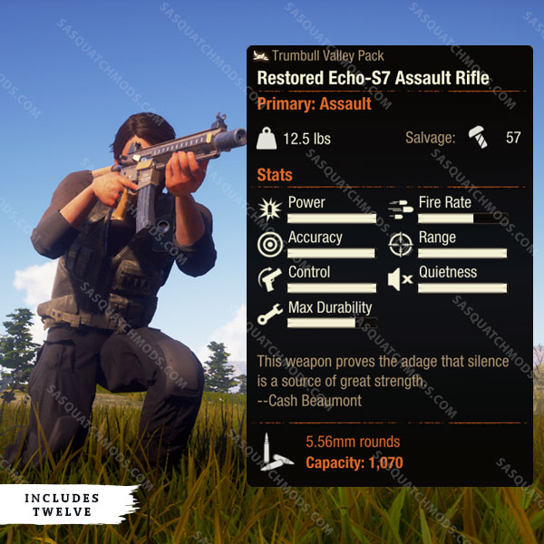 state of decay 2 restored echo-s7 assault rifle