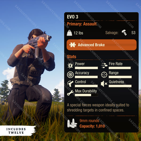 state of decay 2 evo 3