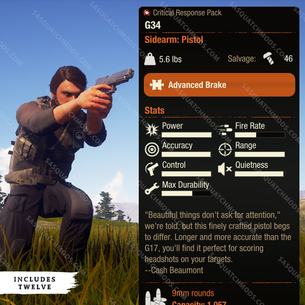 state of decay 2 g34