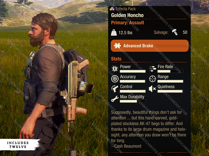Gun Thugs achievement in State of Decay