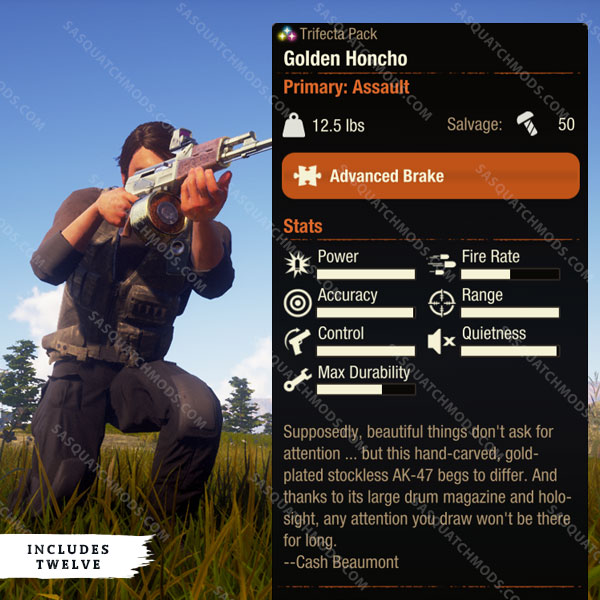 state of decay 2 Golden Honcho AK-47