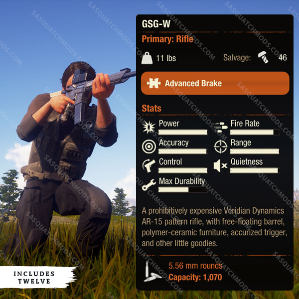 state of decay 2 gsg-w