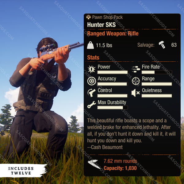 state of decay 2 hunter sks