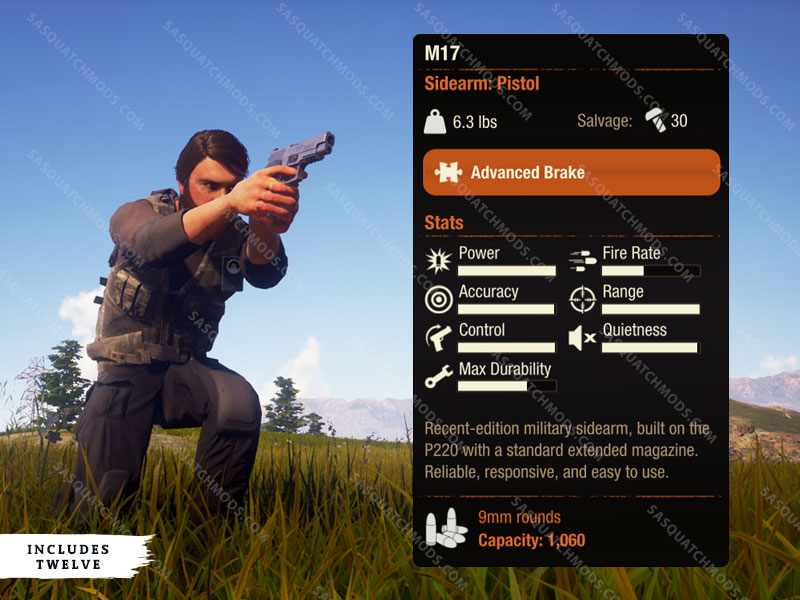 state of decay 2 M17