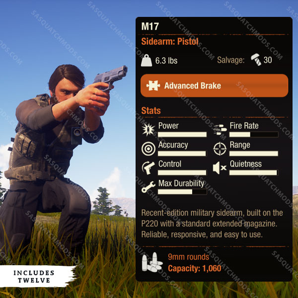 state of decay 2 M17