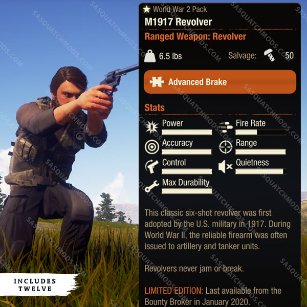 state of decay 2 m1917 revolver