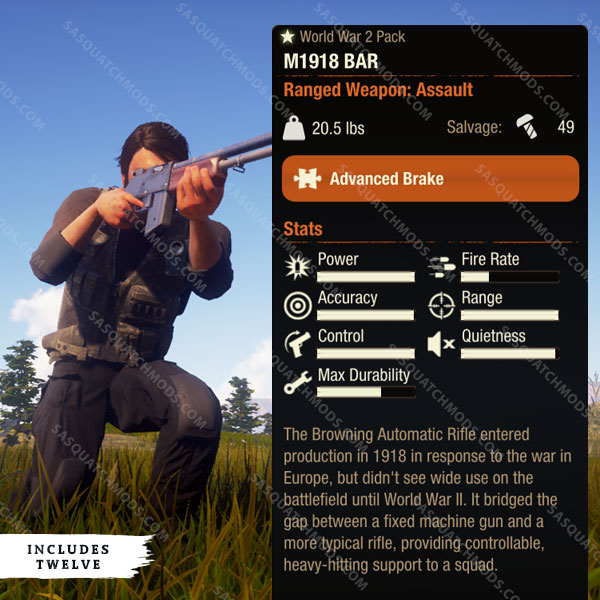 state of decay 2 m1918 bar