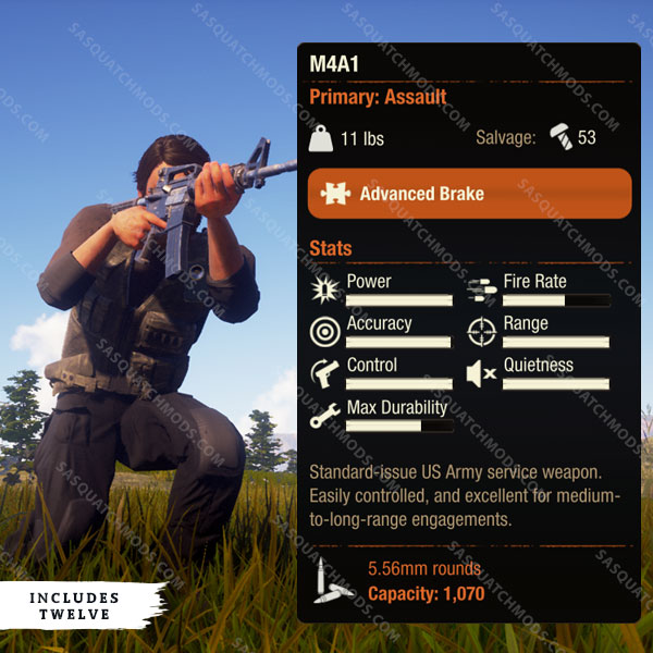 state of decay 2 m4a1