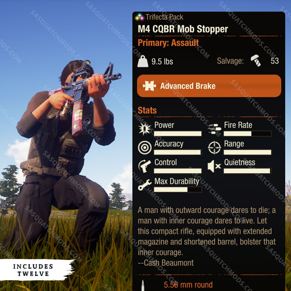 state of decay 2 M4 CQBR Mob Stopper