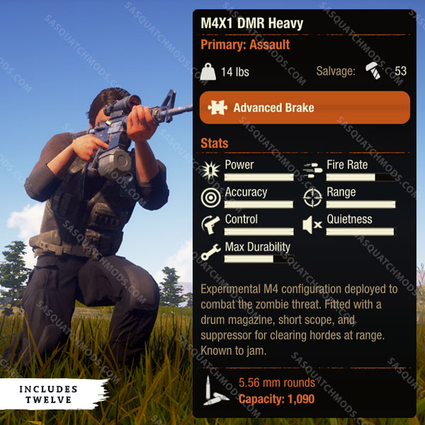 state of decay 2 m4x1 dmr heavy