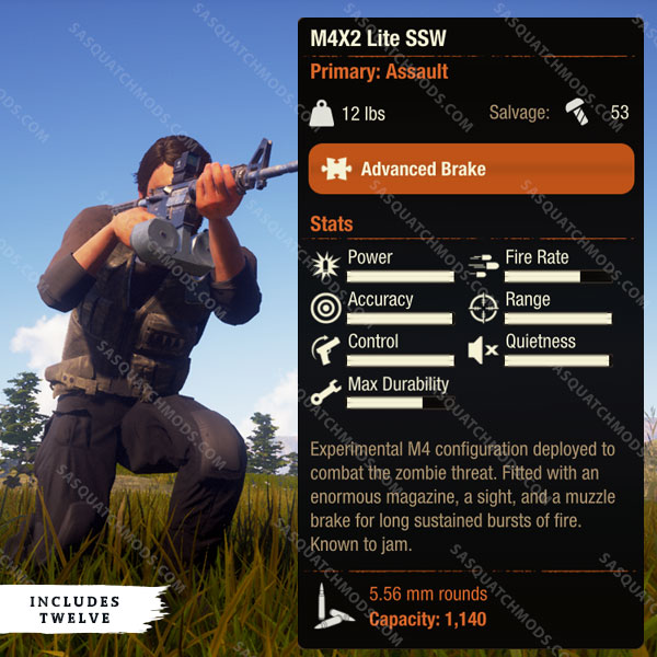 state of decay 2 m4x2 lite ssw