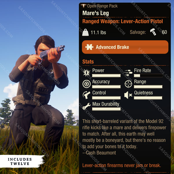 state of decay 2 mares leg