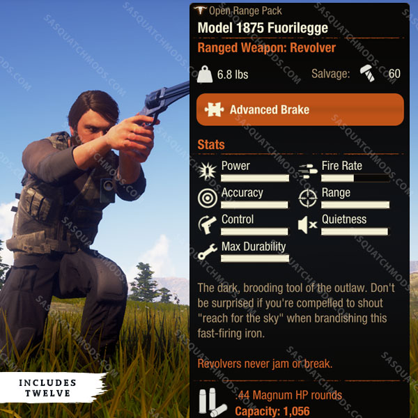 state of decay 2 model 1875 fuorilegge