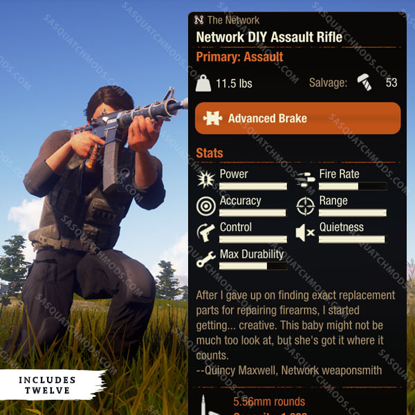 state of decay 2 network diy assault rifle