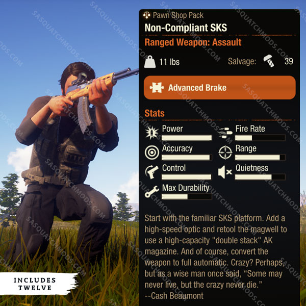 state of decay 2 non-compliant sks