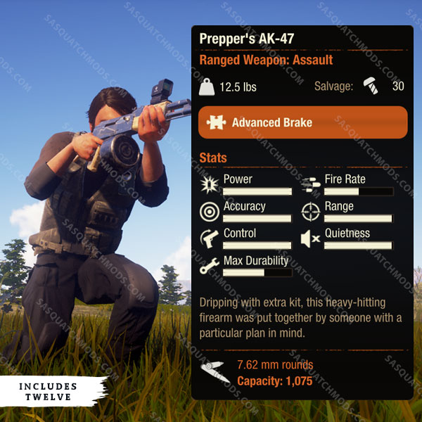 state of decay 2 preppers ak-47