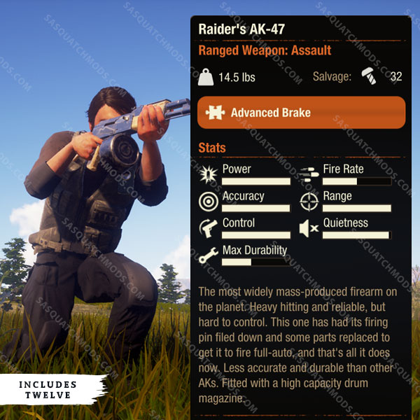 state of decay 2 raiders ak-47