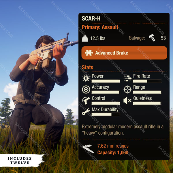 state of decay 2 scar-h