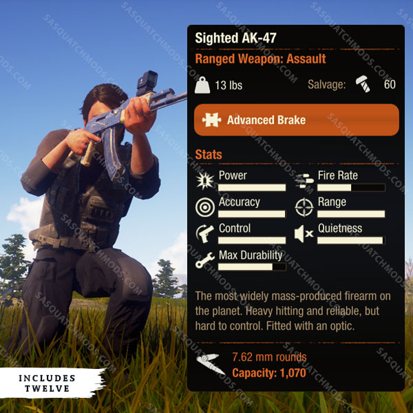 state of decay 2 sighted ak 47