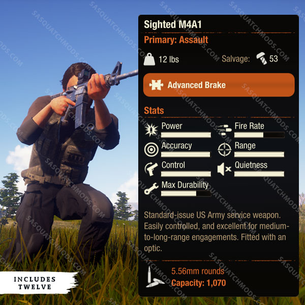 state of decay 2 sighted m4a1