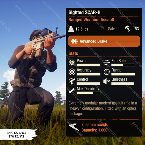 state of decay 2 sighted scar-h