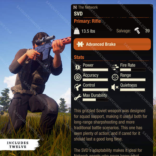 state of decay 2 SVD