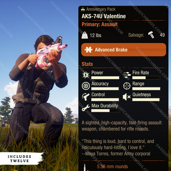 state of decay 2 aks-74u valentine