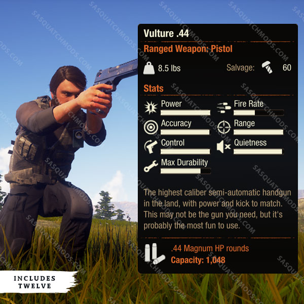 state of decay 2 vulture .44