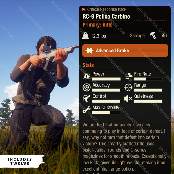 state of decay 2 rc-9 police carbine